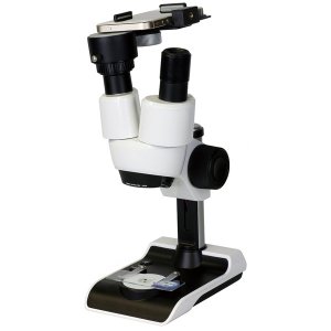 이미지 상세보기 이미지 상세보기